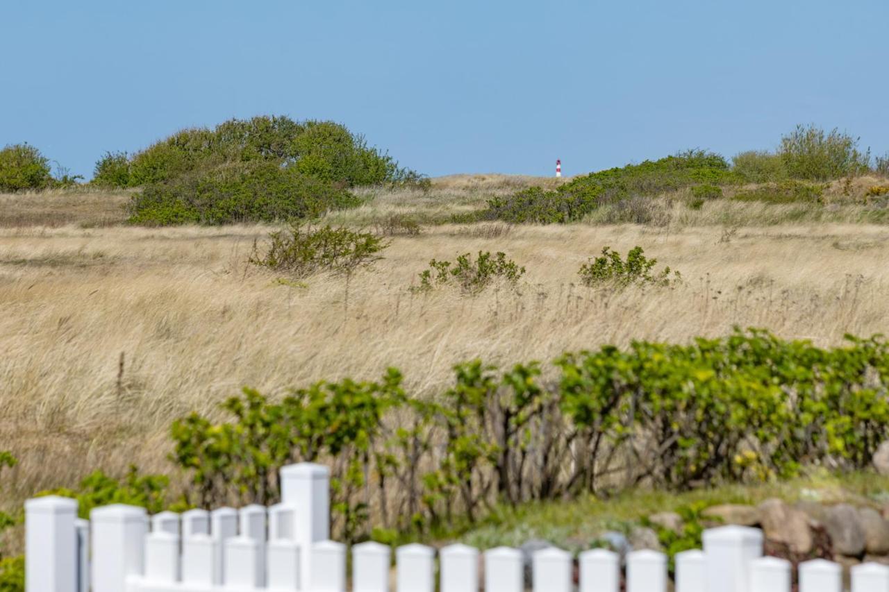 Albatros List auf Sylt