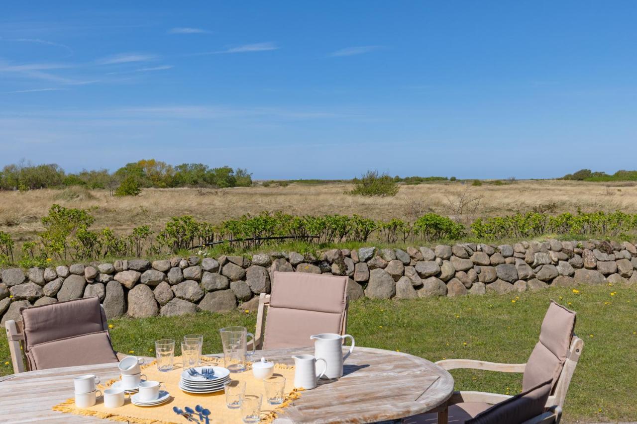 Albatros * List auf Sylt